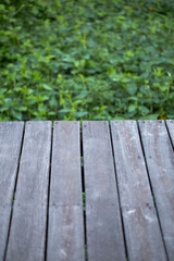 Fototapeta premium Old plank woods on green plant