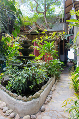 Beautiful backyard with fountain and plants in asian village, Philippines. Tropical garden.  Asian garden with path and green trees. Summer vacation. Asian travel.