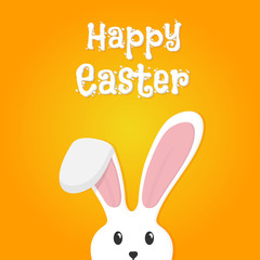 Obraz na płótnie Canvas Easter rabbit, easter Bunny