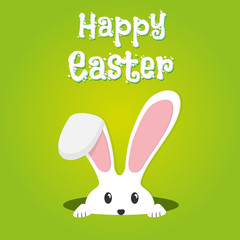 Easter rabbit, easter Bunny
