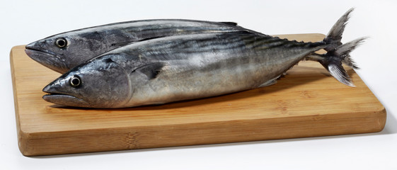 Fresh mackerel fish on wooden cutting board