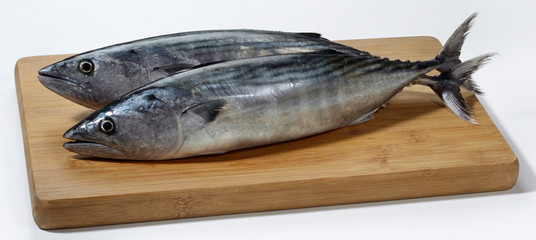 Fresh mackerel fish on wooden cutting board