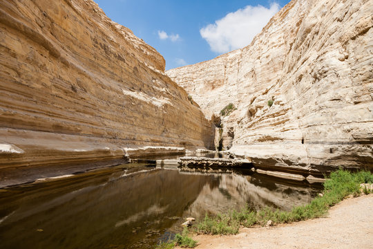 Canyon of Ein Avdat National Park, the Negev Desert, Southern Israel