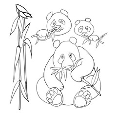 Vector linear illustration, black and white illustration, panda bear.