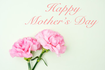 Pink carnation flowers for Mother's day on light green background 