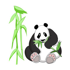 Vector drawing, color illustration, panda bear