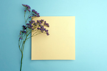 Spring flowers composition with paper card for text. Purple flowers on pastel blue background