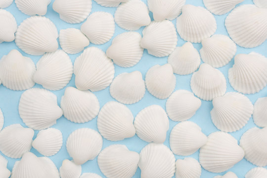 Summer composition with white seashells on the bright blue background © uladzimirzuyeu