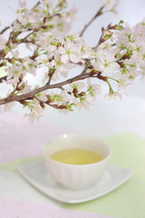 さくらと煎茶