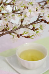 さくらと煎茶