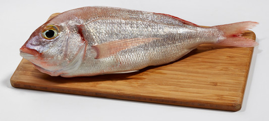 Fresh red sea bream fish on wooden cutting board