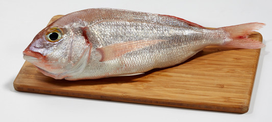 Fresh red sea bream fish on wooden cutting board