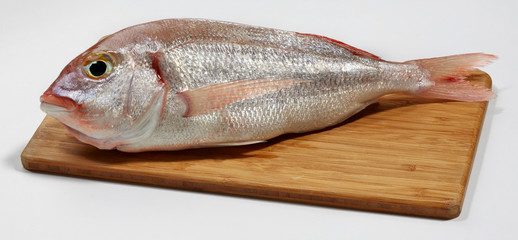 Fresh red sea bream fish on wooden cutting board