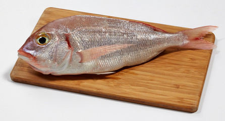 Fresh red sea bream fish on wooden cutting board