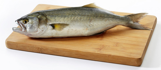 Fresh horse mackerel fish on wooden cutting board
