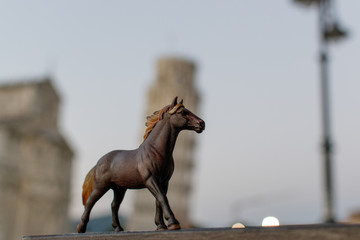 horse on blue sky background and leaning tower of pisa