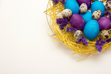 Fototapeta na wymiar Colored chicken and quail egg in nest with flowers on white background. Easter concept.