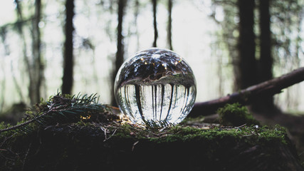 Sphere in Forest 