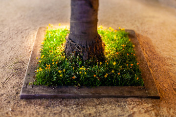 ミニチュア風に撮影した花壇