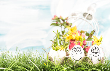 Easter eggs yellow flowers green grass