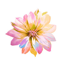 Beautiful hand drawn colorful flower