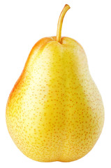 One red yellow pear fruits isolated on white background with clipping path. Full depth of field.