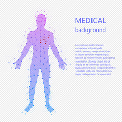Medical background. Human anatomy.