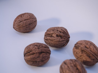 Dried walnuts in a white background.