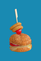 Fresh beaf tasty burger and onion rings isolated