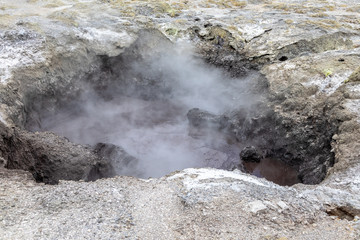 geothermal activity at Rotorua in New Zealand