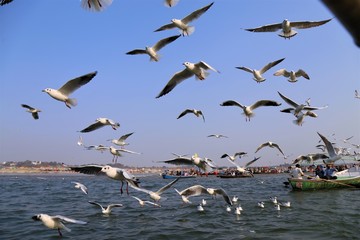Allahabad sangam