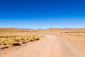 Bolivian dirt road view,Bolivia