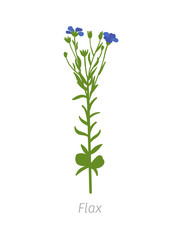 Fototapeta na wymiar Flax Linum usitatissimum. Agriculture cultivated Linum plant. Green leaves. Flat color Illustration clipart on white background.