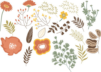 Flower herb Pattern
