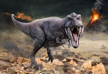 Afwasbaar Fotobehang Jongenskamer Tyrannosaurus rex scène 3D illustratie
