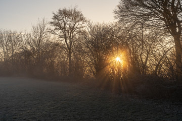 Rußberg im Frühling