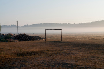 Dry yellow grass in the meadow. Foggy weather. Morning landscape with firewood behind. Background