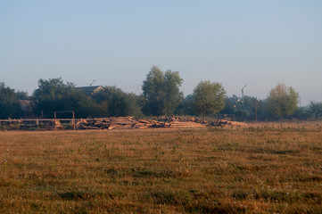 Fototapeta na wymiar Dry yellow grass in the meadow. Foggy weather. Morning landscape with firewood behind. Background