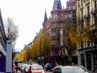 秋の朝のルツェルンの黄葉の街路樹（スイス）