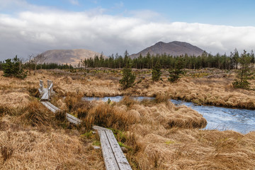 Fototapeta na wymiar Western way trail in a bog with pine forest and mountains in background
