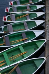 Rowing Boat in Tuebingen