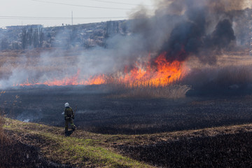 Raging forest spring fires. Burning dry grass, reed along lake. Grass is burning in meadow....