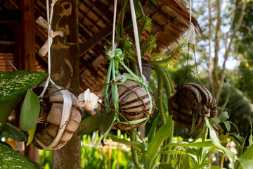 Natural asian decoration from a farm on the outside