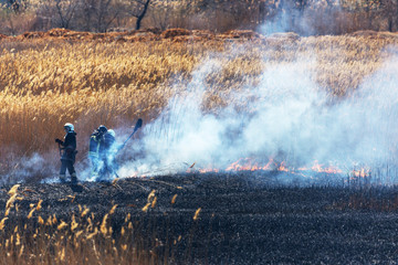 Raging forest spring fires. Burning dry grass, reed along lake. Grass is burning in meadow....