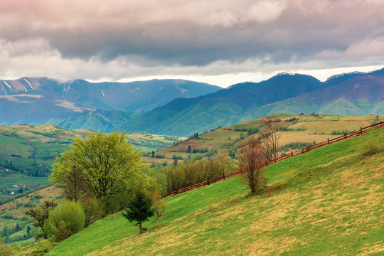 rural countryside in mountains. village in the distant mountain. agricultural fields on hills. trees on grassy slope. wonderful springtime landscape on cloudy forenoon weather