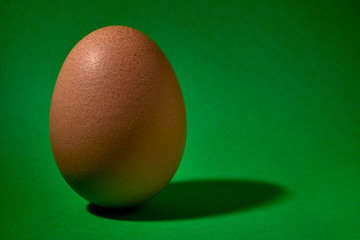 brown chicken egg on green background