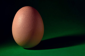 brown chicken egg on green background