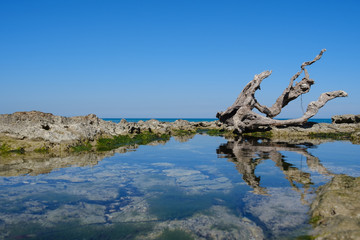 Fototapeta na wymiar Strand am Mittelmeer mit Baumwurzel