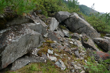 Fototapeta na wymiar stone and rocks on the mountainside with plants and moss