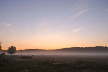 Fototapeta na wymiar Green meadow in the summer morning with fog. Sunrise